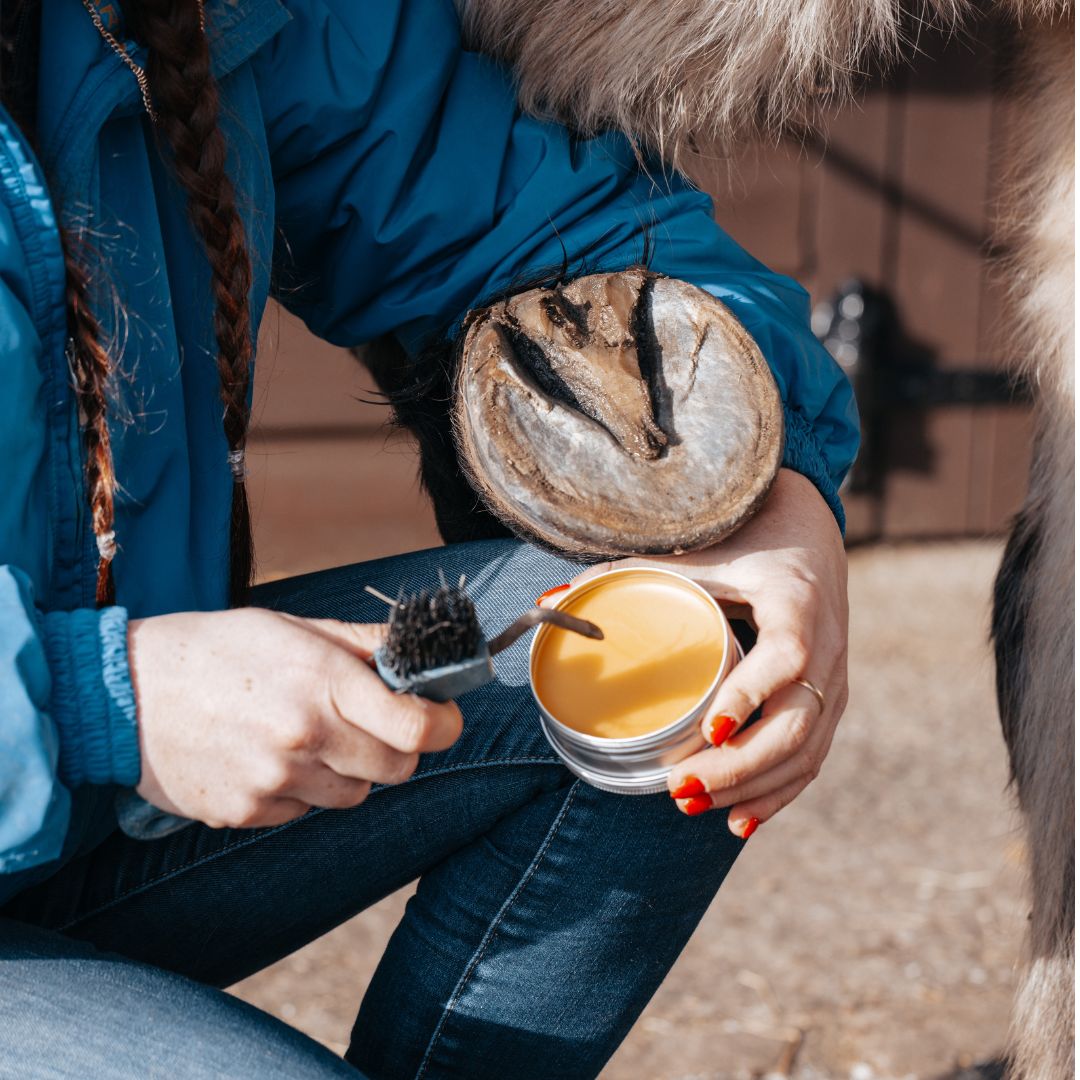 Natural Hoof Wax
