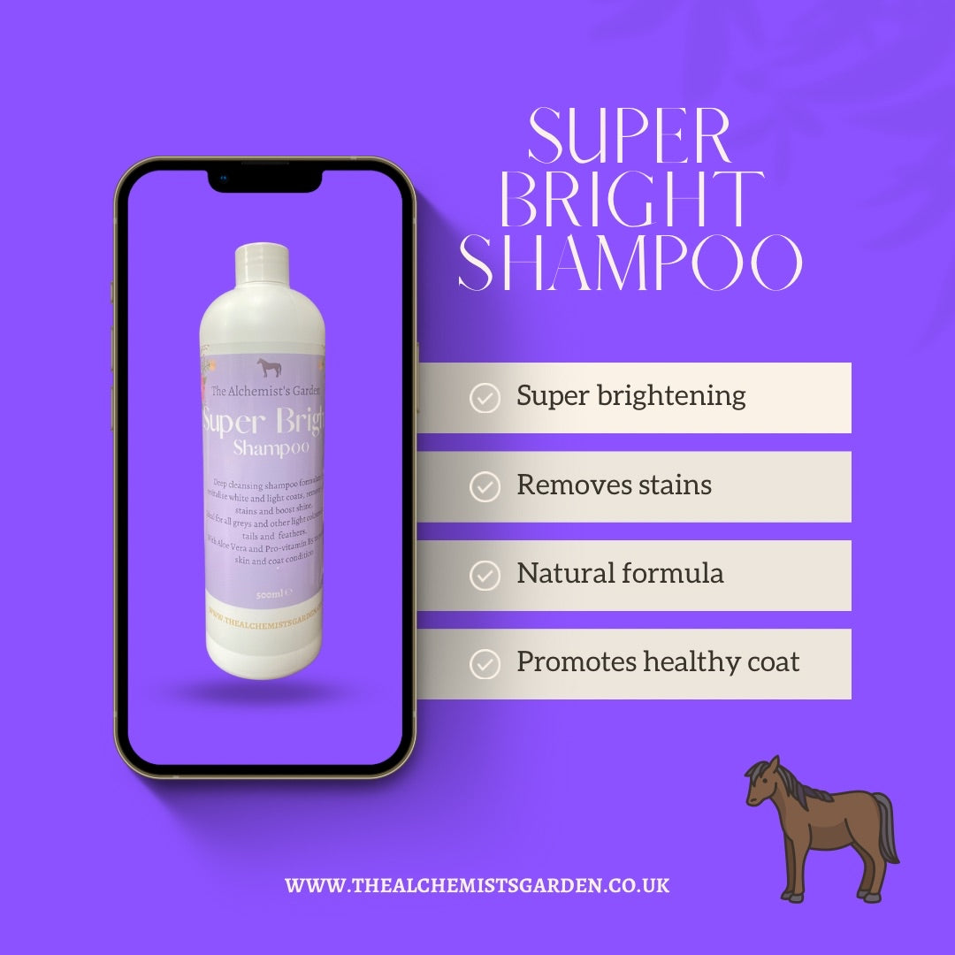 Super Bright Shampoo